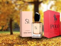 Perfumes para o outono