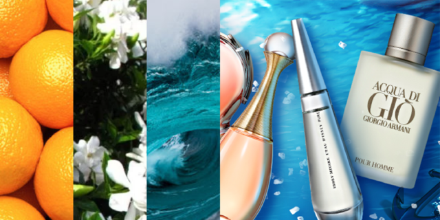 Tudo sobre notas de perfume