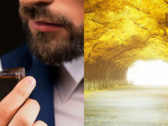 O que são perfumes amadeirados?