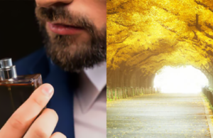 O que são perfumes amadeirados?