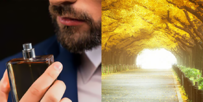 O que são perfumes amadeirados?