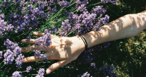 Que tipo de perfume usar na primavera?