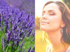 A calma que a lavanda traz