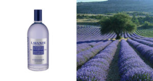Lavanda de L’occitane en Provence