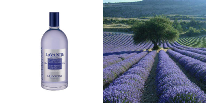 Lavanda de L’occitane en Provence