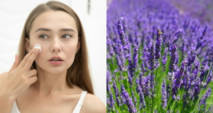 O poder especial da lavanda