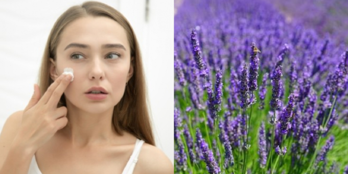 O poder especial da lavanda