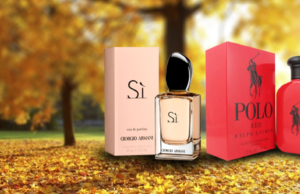 Perfumes para o outono