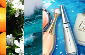 Tudo sobre notas de perfume