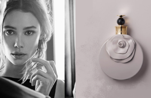 Perfume para as namoradas: Valentina