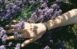 Que tipo de perfume usar na primavera?