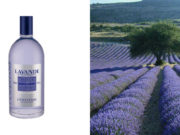 Lavanda de L’occitane en Provence