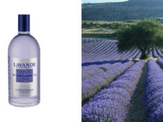 Lavanda de L’occitane en Provence
