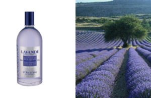 Lavanda de L’occitane en Provence