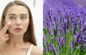 O poder especial da lavanda